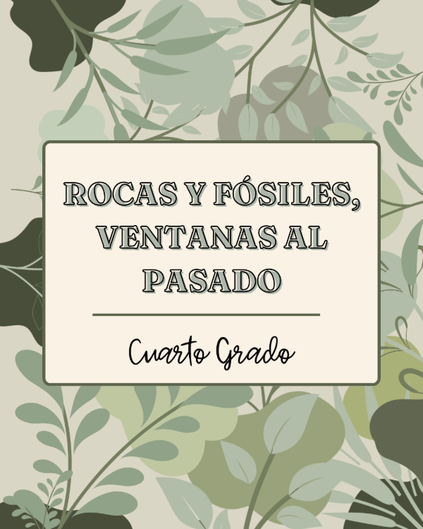 Producto - Rocas y Fósiles