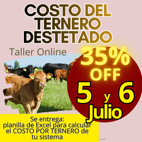 Producto - Taller Online: Costo del Ternero