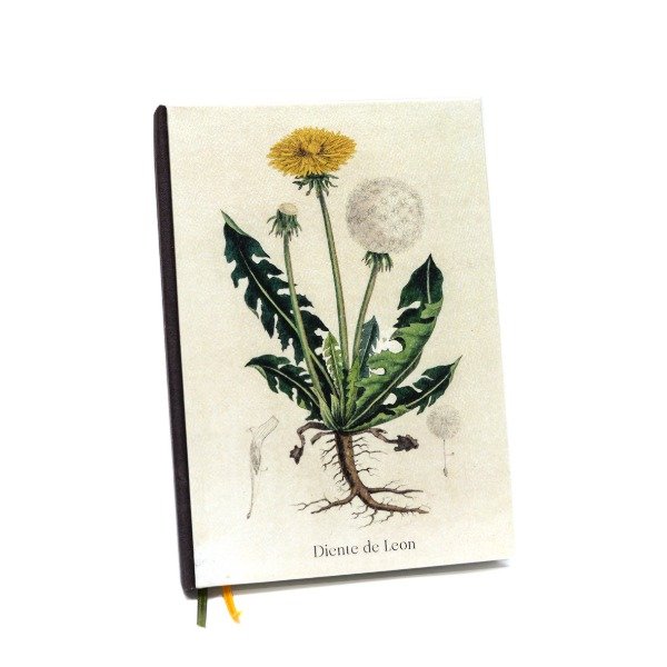 Producto - Diente Leon