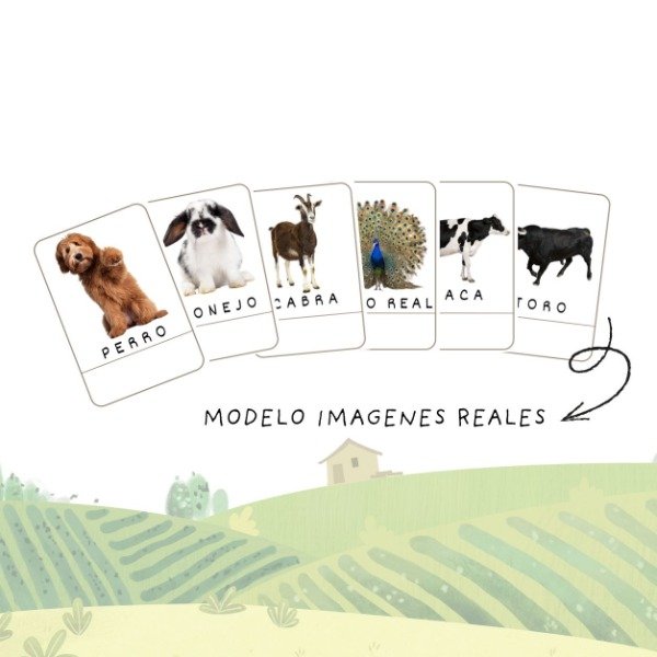 Producto - Pack de Lectoescritura- Animales de la granja (imágenes reales ) - 1