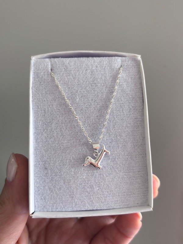 Producto - Collar salchi