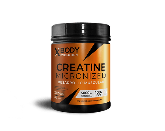 Producto - CREATINA MICRONIZED - X BODY - 300GRS
