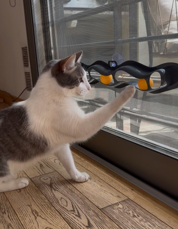 Producto - Track nroll  para ventanas