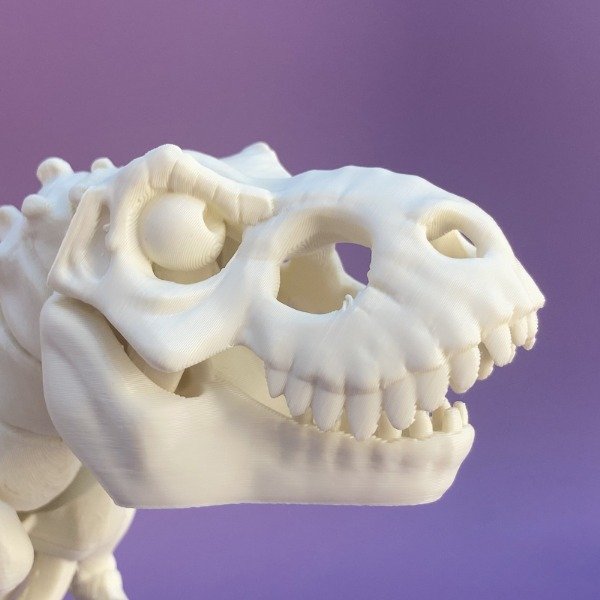 Producto - Esqueleto de T-Rex - 3