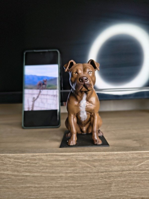 Producto - TU MASCOTA EN MINI VERSIÓN