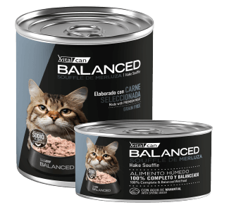 Producto - Lata Balanced Gato - 1