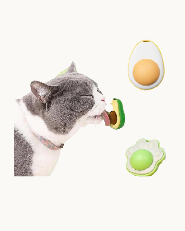 Producto - Hierba gatera para pared