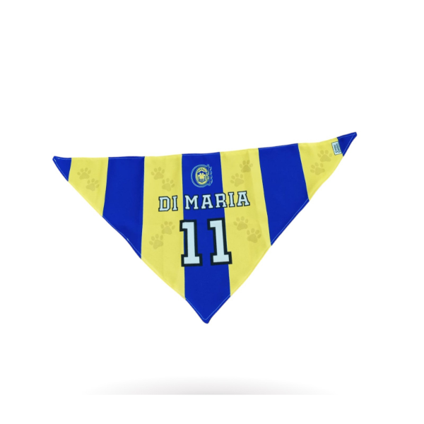 Producto - Bandana Central