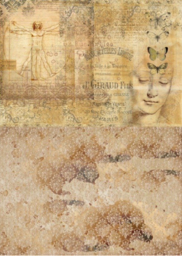 Producto - Lamina de Seda FLORENCE 19C