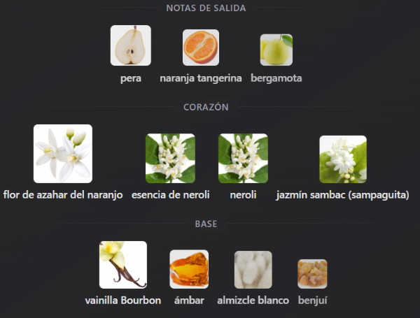 Producto - ROME PARADOX - 2