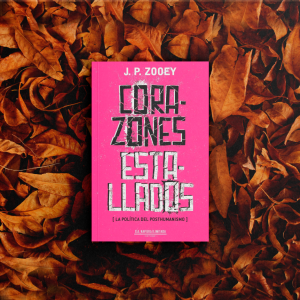 Producto - Corazones estallados - JP Zooey