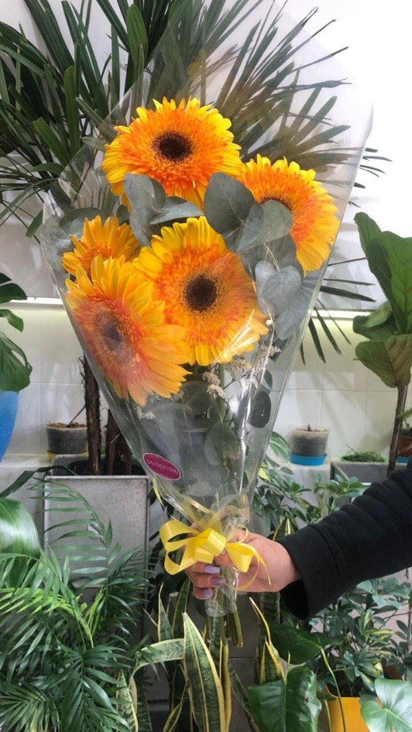 Producto - RAMO GERBERAS