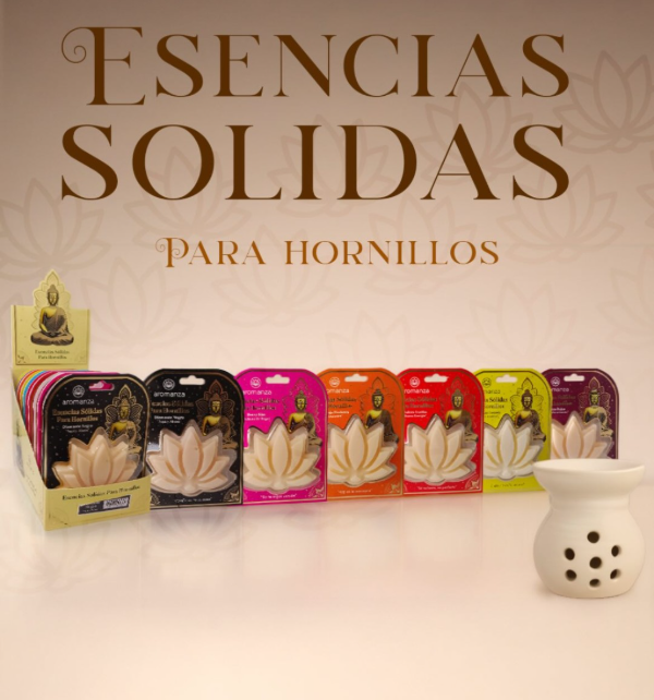 Producto - Bulto Esencia Solida x80 unidades