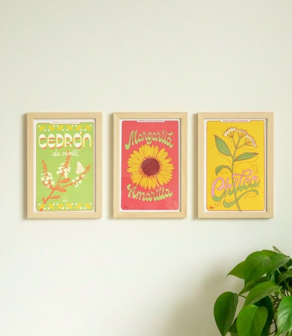 Producto - Tríptico Cedrón-Margarita-Chilca