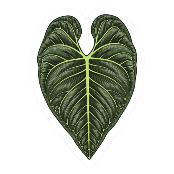 Producto - Sticker anthurium vinilo