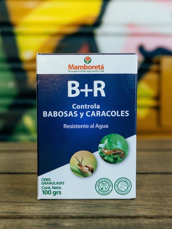 Producto - Mamboreta B + R