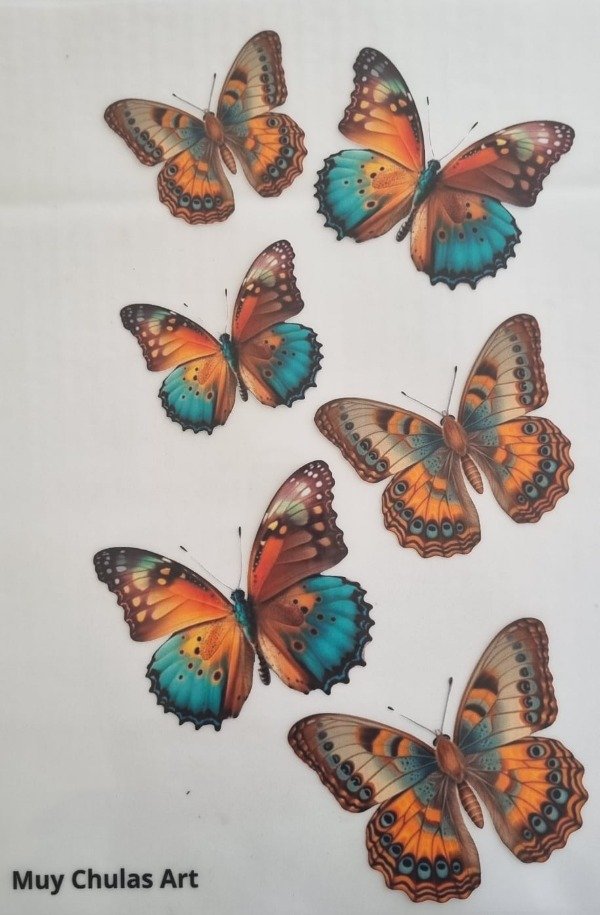 Producto - Mariposa3
