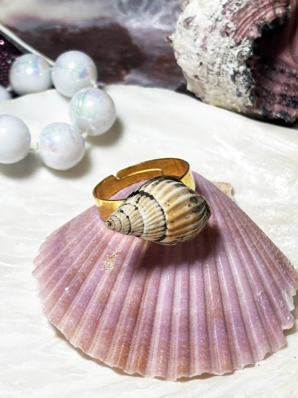 Producto - Anillo del Mar Caracola Marrón