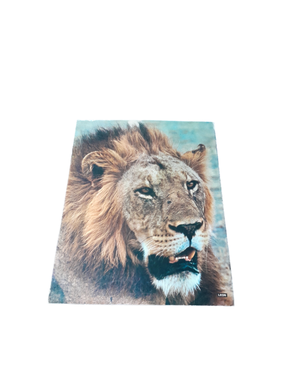 Miniatura de producto - 7