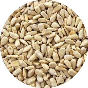 Producto - Semillas de Girasol 500gr / 1k