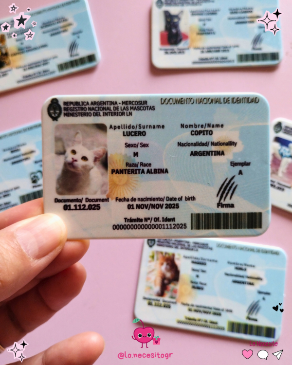 Producto - DNI mascotas - 3