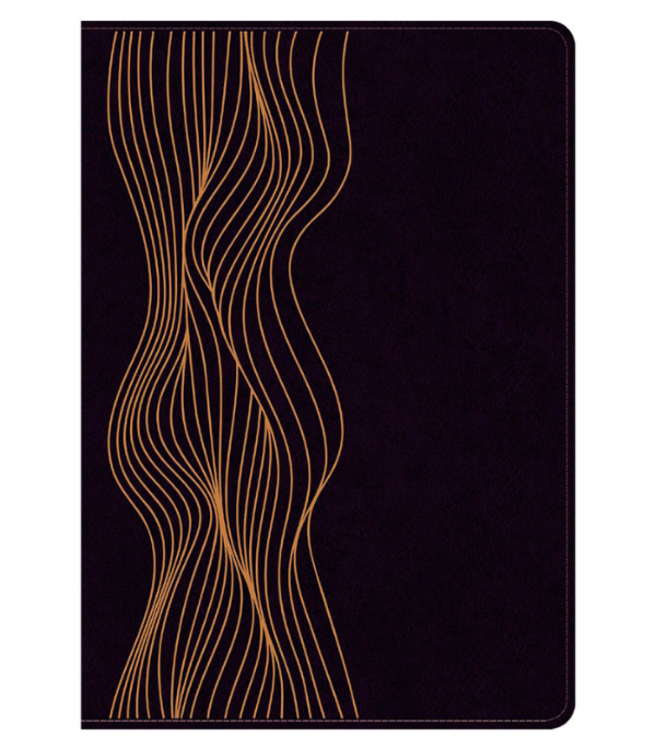 Producto - BIBLIA DIARIO VIVIR DE ESTUDIO RVR IMITACIÓN PIEL MORADO OSCURO