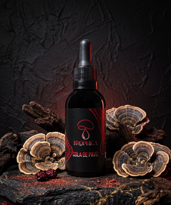 Producto - Extracto Puro de Cola de Pavo / Escudo Inmunológico y Salud Digestiva - 1