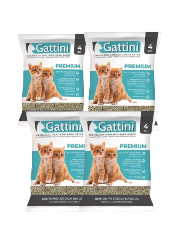 Producto - Piedras Gattini Premium Agloremantes 4x3