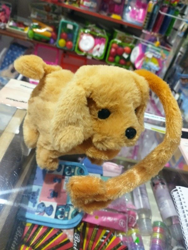 Producto - Perro para pasear a pila