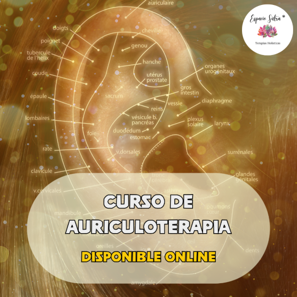 Producto - AURICULOTERAPIA