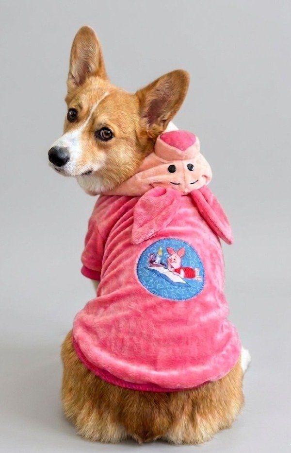 Producto - Buzo Pigglet, Winnie the pooh