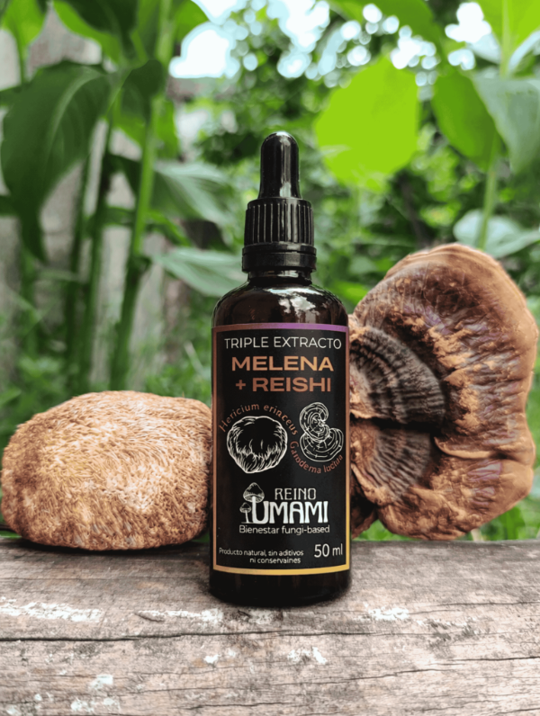 Producto - REISHI + MELENA - triple extracto 50 ml
