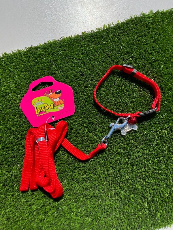 Producto - Conjunto Collar + Correa LazyDog