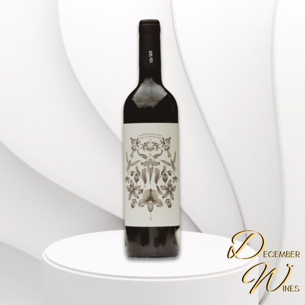 Producto - Para Vestirte Hoy Bodega 13 20