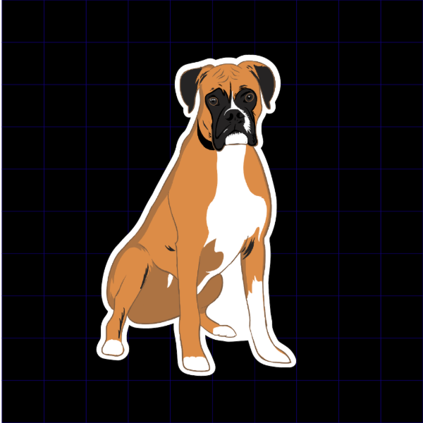 Producto - Boxer