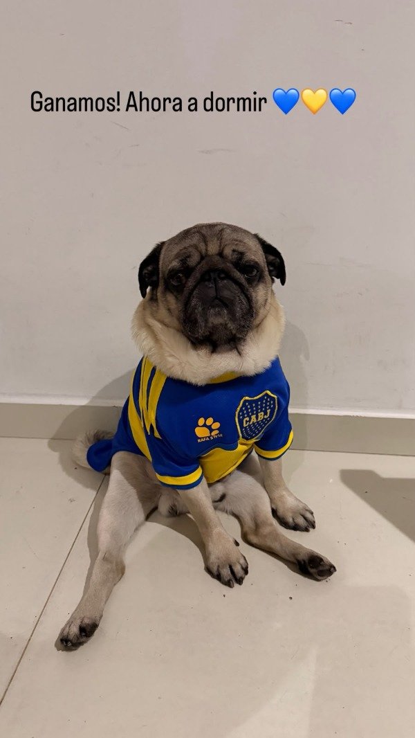 Producto - Camiseta Boca Juniors 2026-2027 - 6