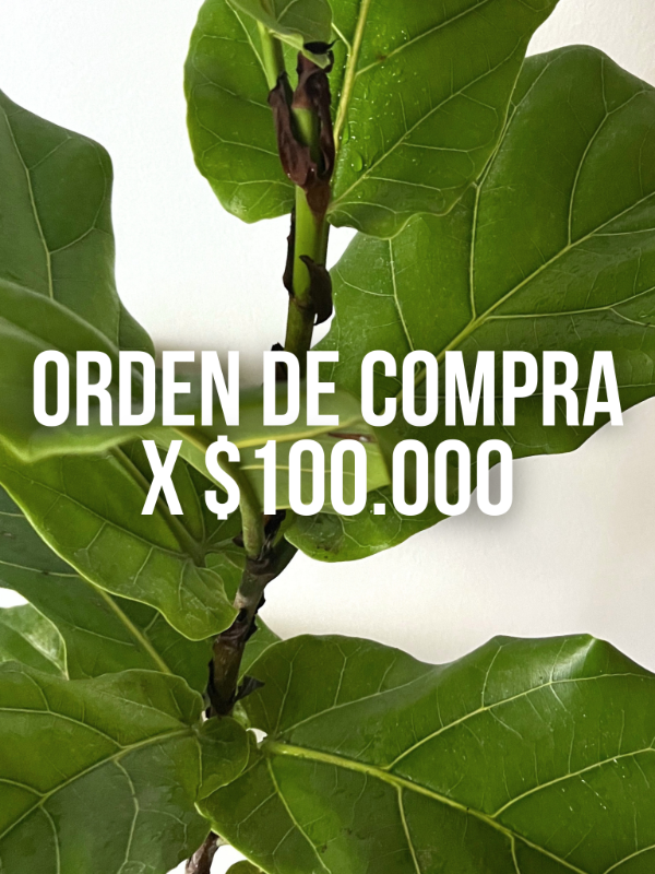 Producto - ORDEN DE COMPRA X 100.000