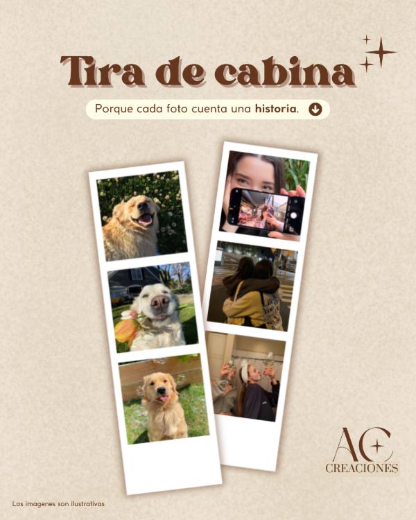 Producto - Tira de cabina