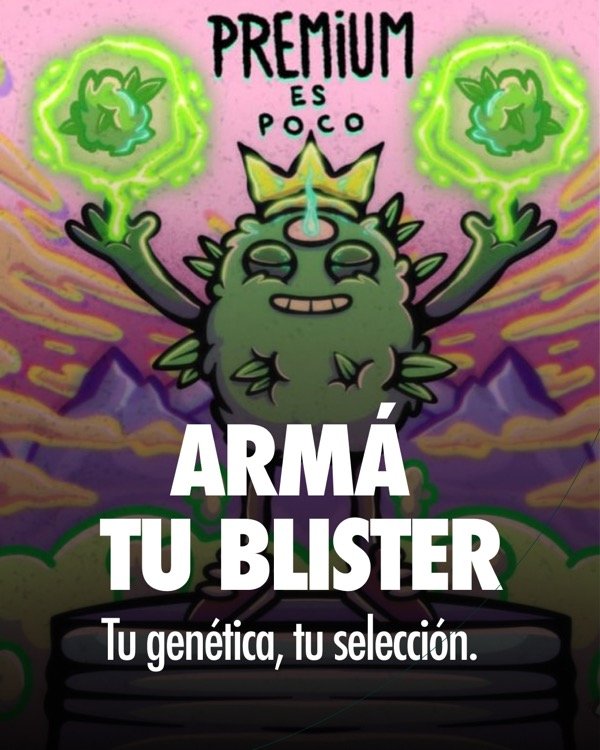 Producto - Armá tu Blister (6 UNIDADES)