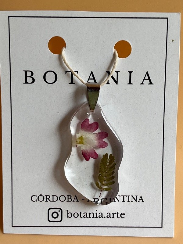 Producto - Variedad 10 verbena roja