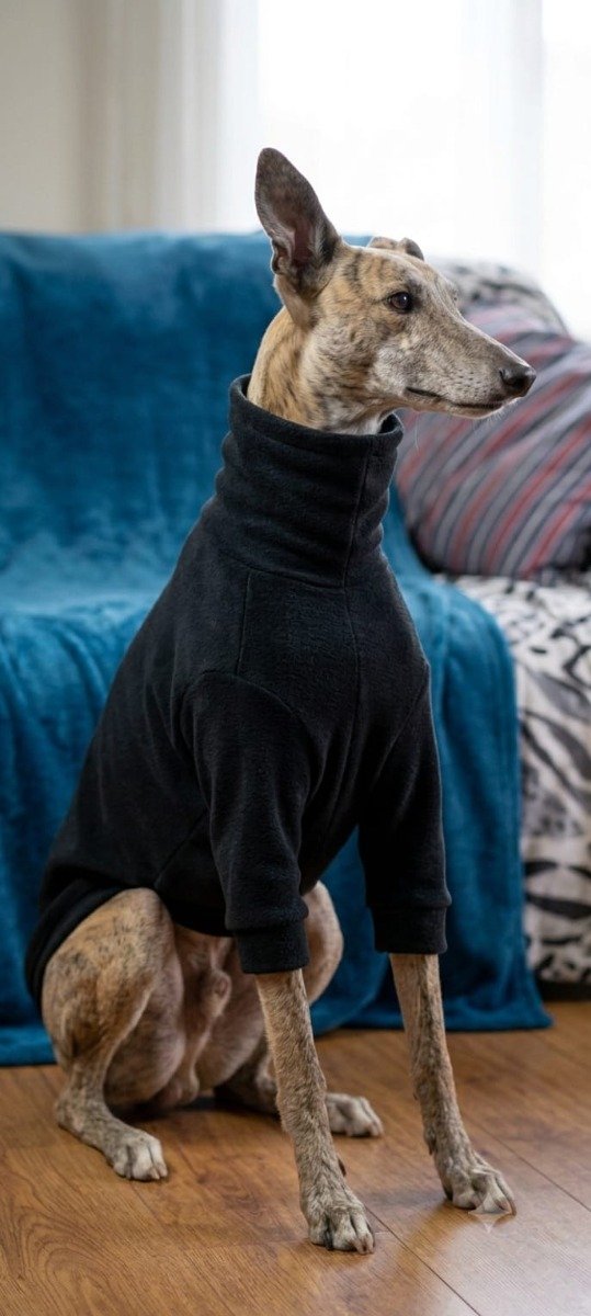 Producto - Buzo Galgos POLAR SOFT - 0