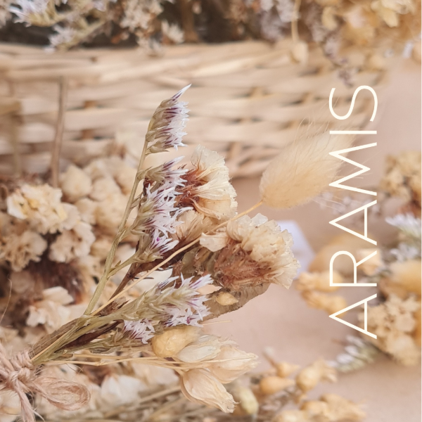 Producto - Mini Ramitos - Boho Chic x10