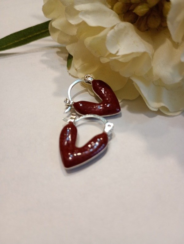 Producto - Argollas CORA AQ