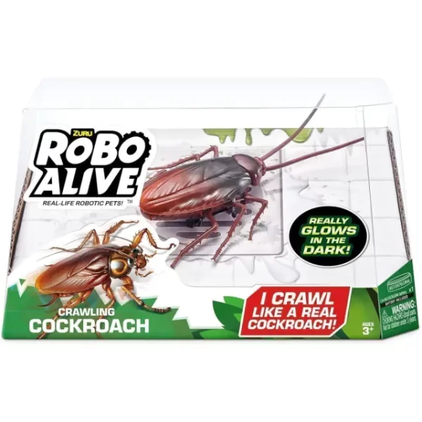 Producto - Cucaracha Robo alive