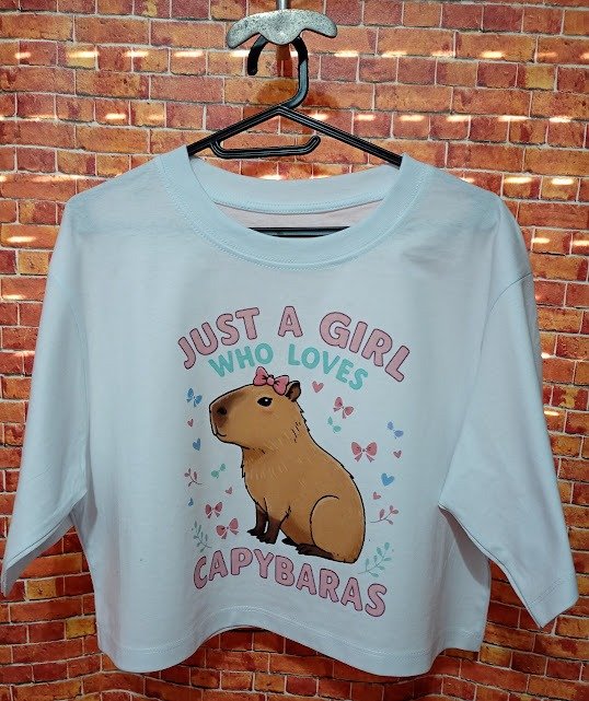 Producto - CROP TOP OVERSIZE TALLES UNICOS-Diseños varios Estampados DTF - 2