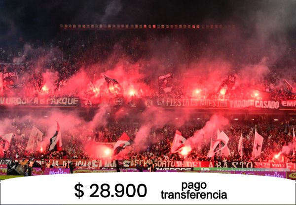 Producto - Rompecabezas 48 piezas - Newell's - Bengalas Platea - 0