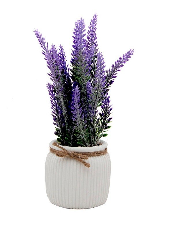 Producto - MACETA LAVANDA 26X9X9CM MCC1175