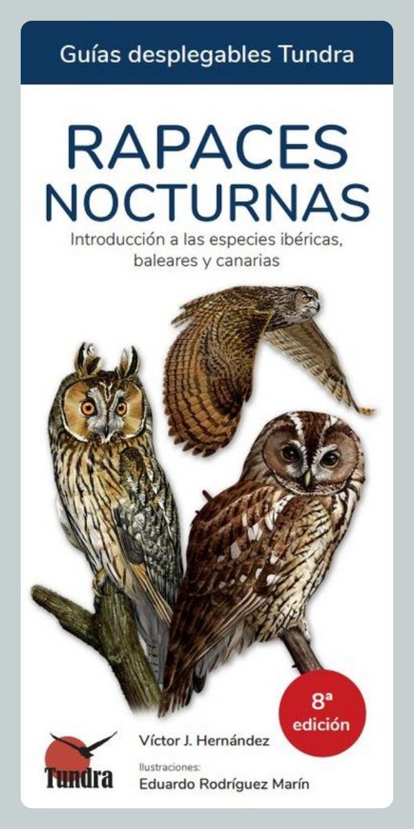 Producto - Hernández: Rapaces Nocturnas