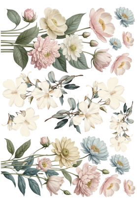 Producto - CATCUTE2B