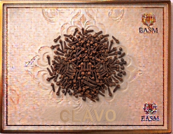 Producto - ES-0019 CLAVO
